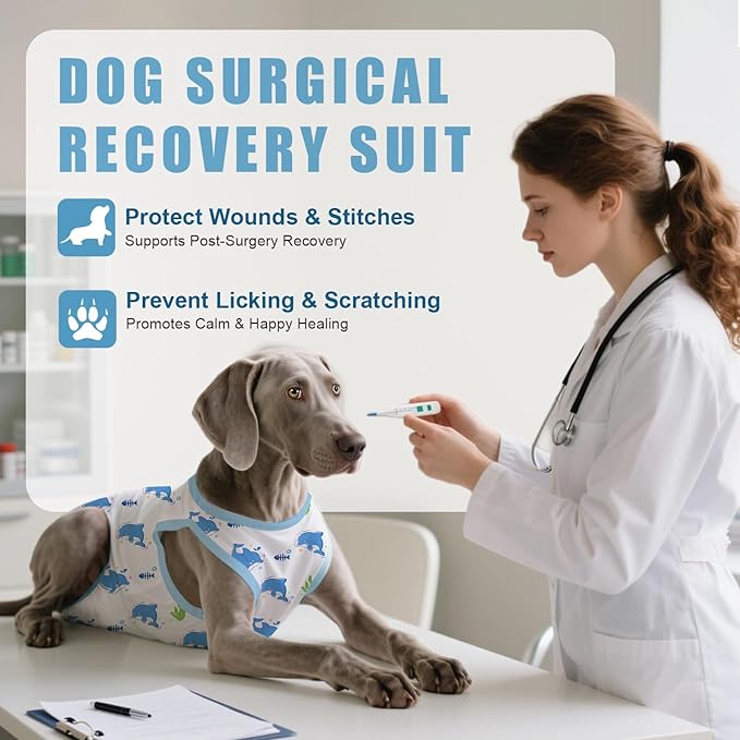 Recovery Suit for Dogs After Surgery, Professional Dog Surgical Suit for Female Spay, Male Neuter, E-Collar & Cone Alternative Dog Onesie for Abdominal Wounds Skin Disease, Blue, S