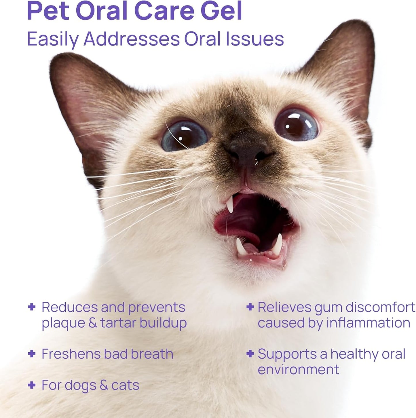 HICC PET Dog Dental Care, Oral Hydro Gel Teeth Cleaning and Breath Freshener for Dog and Cat, Relieve Gum Redness, Soothes Inflammation, Reduce Tarter and Plaque, Safe for All Animals, 2 Fl Oz