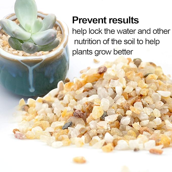 TOYPOPOR Coarse Silica Sand 2.2lb for Bonsai Cacti Succulent and Carnivorous Plant Mix