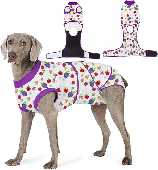 Recovery Suit for Dogs After Surgery, Professional Dog Surgical Suit for Female Spay, Male Neuter, E-Collar & Cone Alternative Dog Onesie for Abdominal Wounds Skin Disease, Purple, S