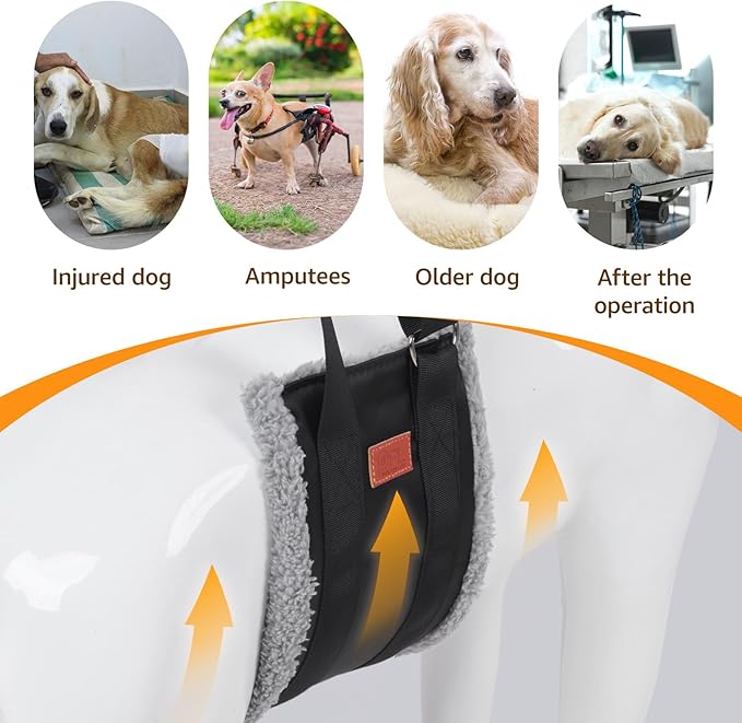 Adjustable Dog Lift Harness, Dog Sling for Large Dogs Hind Leg Support, Soft Lift Support Helps Senior, Injured, Disabled and After ACL Surgery Dogs-Black & Grey (X-Large)
