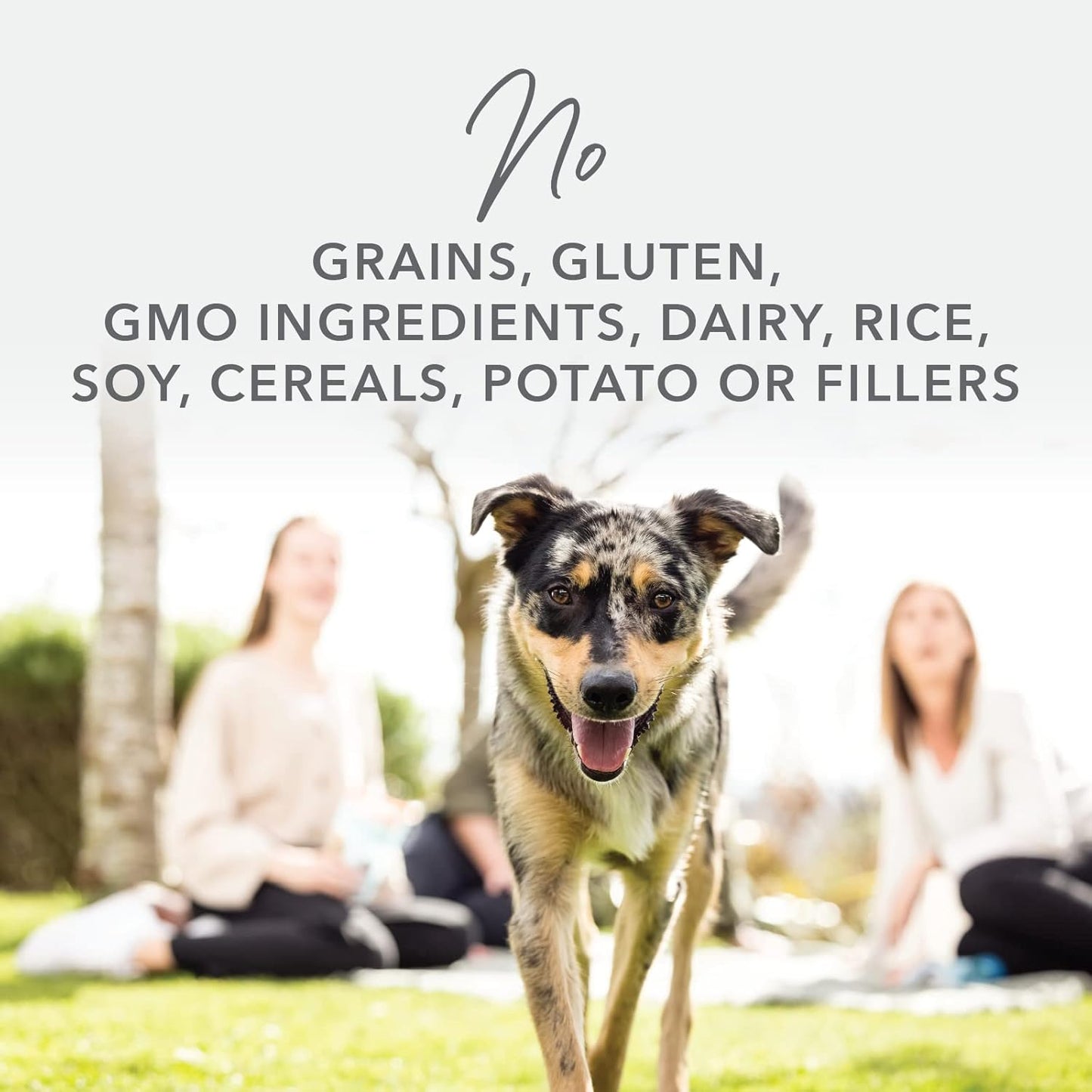 K9 Natural - Grain Free Freeze Dried Dog Food Topper - Chicken, 3.5oz