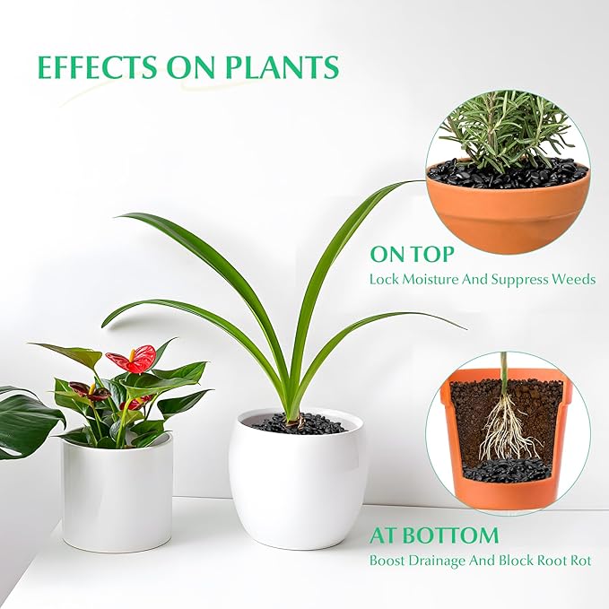 Mr. Fireglass 10 lbs Black Pebbles, 3/8" Natural Decorative Polished River Rocks Aquarium Gravel for Indoor Plants, Vases, Succulents and Outdoor Garden Landscaping