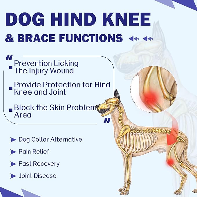 ROZKITCH Dog Surgery Leg Sleeve Rear Legs, Male Female Pet Prevent Licking Wound Elbow Knee Protector, Dog Recovery Suit Cone Collar Alternative Pants Shirt for Wound Heal Wrap Pink M