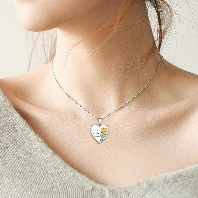 MEDWISE Wing/Wolf/Compass Urn Necklace for Ashes 925 Sterling Silver Necklace Guardian Angel Ashes Keepsake Memorial Urn Pendant Pet Cremation Jewelry for Ashes Memorial Jewelry for Dog Cat Pet Men