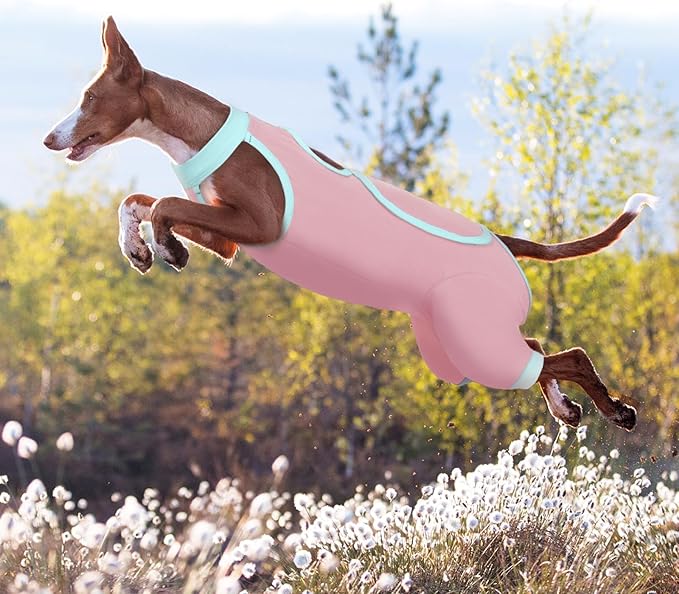 ROZKITCH Dog Surgery Leg Sleeve Rear Legs, Male Female Pet Prevent Licking Wound Elbow Knee Protector, Dog Recovery Suit Cone Collar Alternative Pants Shirt for Wound Heal Wrap Pink M