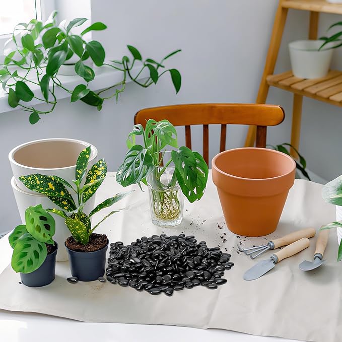 Mr. Fireglass Black Polished Pebbles, 3/8" Aquarium Rocks Natural Decorative River Rocks Gravel for Indoor Plants,Vases, Landscaping, Succulents and Home Decor (2-lb Bag)