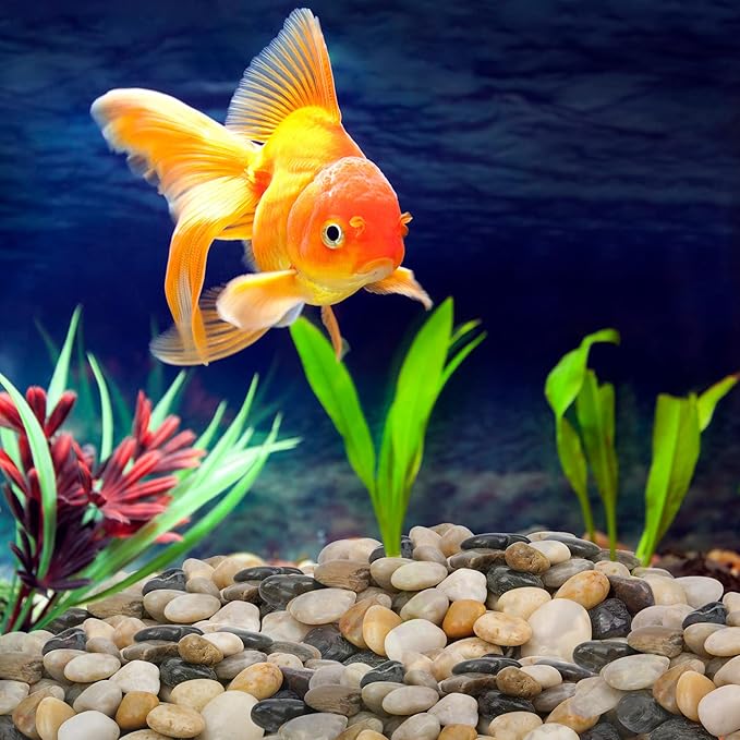 Mr. Fireglass Natural Polished Pebbles, 1 Inch Decorative Mixed Color Stones Aquarium Gravel River Rocks for Vase, Succulents, Landscaping and Home Decor (5-lb Bag)