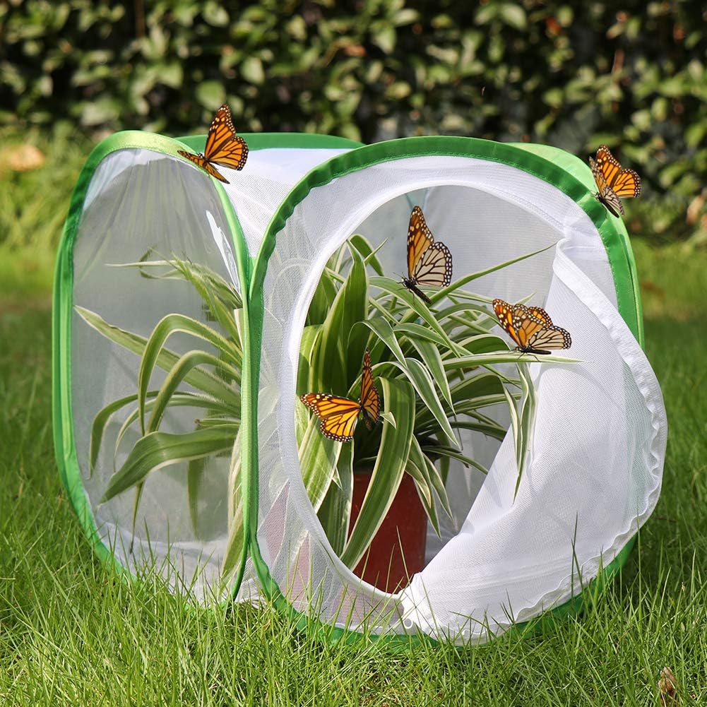 RESTCLOUD Insect and Butterfly Habitat Cage Terrarium Pop-up 12 X 12 X 12 Inches