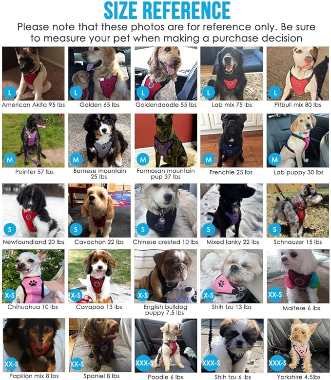 Lukovee Dog Seat Belt for Car, Adjustable Dog Car Harness for Large Medium Small Dogs, Soft Padded & Breathable Mesh Dog Seatbelt with Car Vehicle Connector Strap (Orange,Medium)