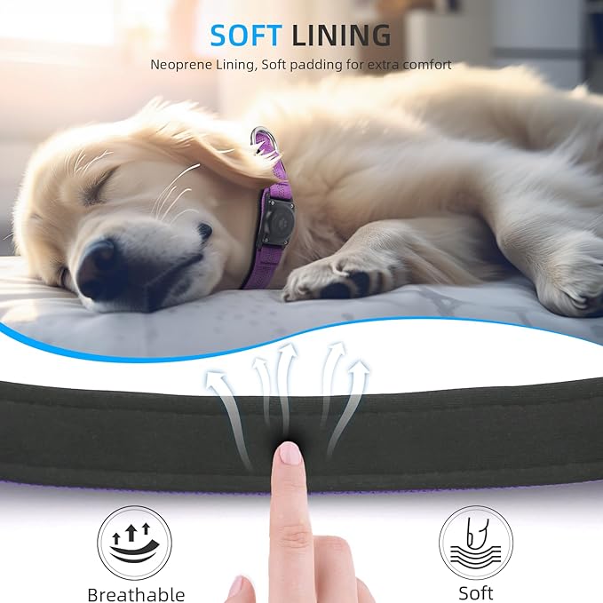 Upgraded AirTag Dog Collar, IP68 Waterproof Air Tag Dog Collar Holder, Reflective, Ultra-Durable, Comfortable Padded, Heavy Duty Dog Collars for Small Medium Large Dogs (M (12.6"-17.1"), Purple)