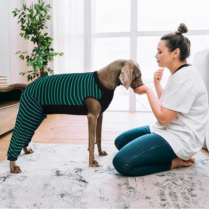 Kuoser Dog Recovery Suit, Anti Licking Dogs Rear Leg Sleeve, Abdominal Dog Surgical Suit with Pants Cover Protect Wounds, Dogs Elbow Protector Soft Pet Surgery Onesie Cone Alternative, Green 2XL