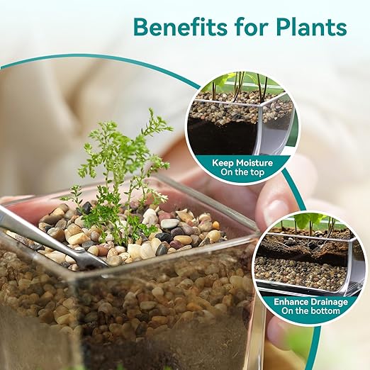 2.5 lbs Small Rocks for Plants, 1/5 Inch Gravel for Plants Drainage, Decorative Potting Pebbles for Indoor Plants, Vases, Bamboo, Succulent, Terrarium, Crafts, Cactus