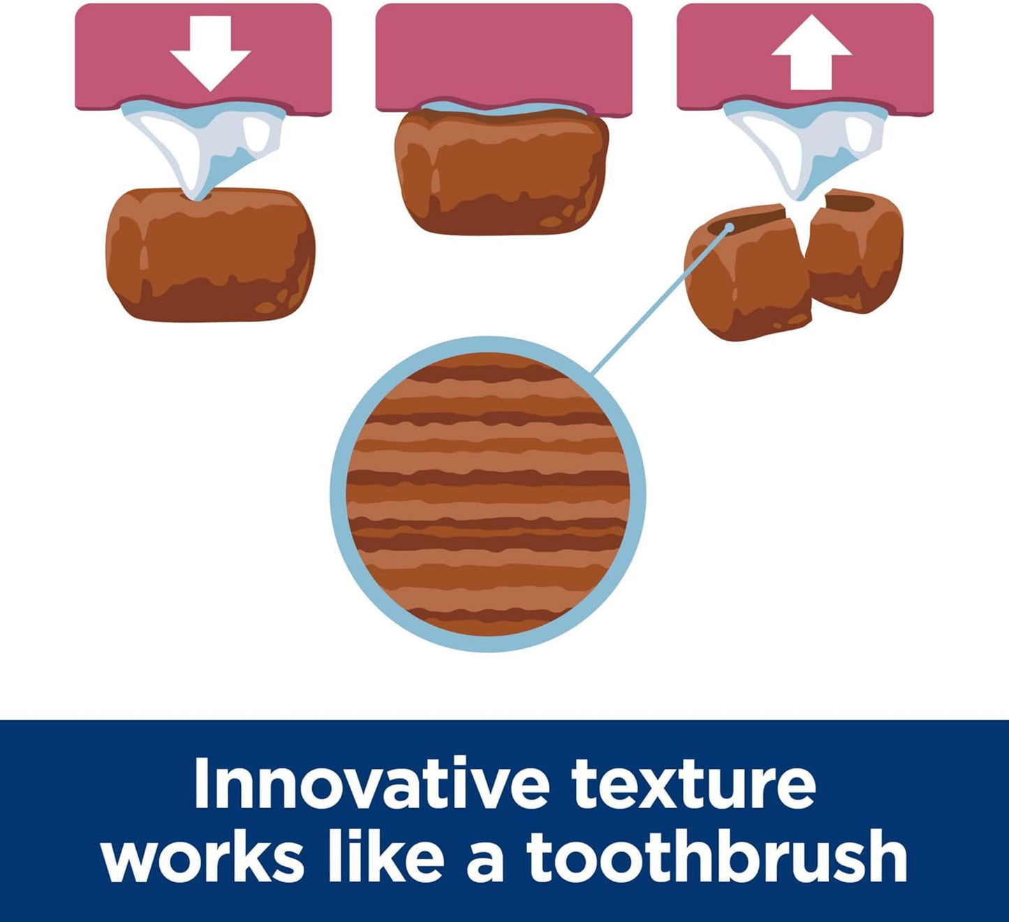 Hill's Science Diet Oral Care, Adult 1-6, Small & Mini Breeds Plaque & Tartar Buildup Support, Dry Dog Food, Chicken, Rice, & Barley, 4 lb Bag