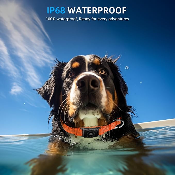 Upgraded AirTag Dog Collar, IP68 Waterproof Air Tag Dog Collar Holder, Reflective, Ultra-Durable, Comfortable Padded, Heavy Duty Dog Collars for Small Medium Large Dogs (XS (10.25"-13"), Orange)