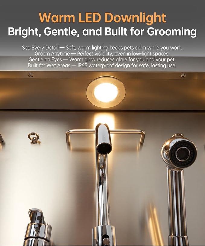 POLIMO Dog Washing Station, LED Professional Stainless Steel Dog Bathing Station 61", Dog Grooming Tub for Large, Medium & Small Dog - with Window, Ramp, Drawer, Floor Grate & Faucet (Right RAMP, 61")