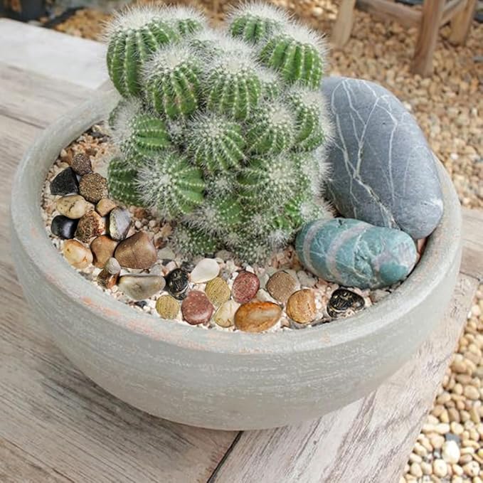 HappyFiller Decorative Natural Pebbles Polished Rocks Stones Mixed Color for Aquarium Gravel,Fish Turtle Tank,Outdoor Indoor Plants Top Dressing,Garden Landscaping,Home Vase Filler Decoration,10 LB