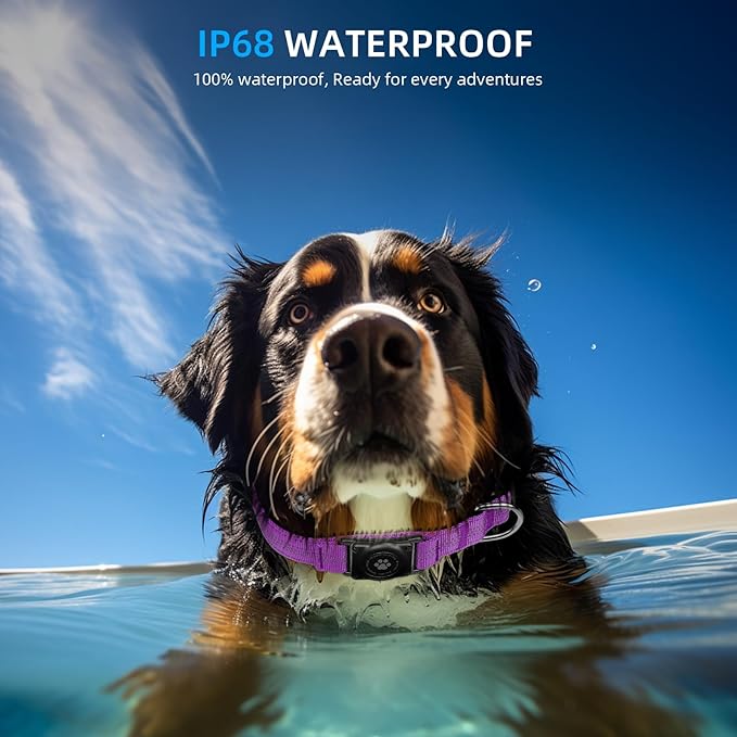 Upgraded AirTag Dog Collar, IP68 Waterproof Air Tag Dog Collar Holder, Reflective, Ultra-Durable, Comfortable Padded, Heavy Duty Dog Collars for Small Medium Large Dogs (XS (10.25"-13"), Purple)