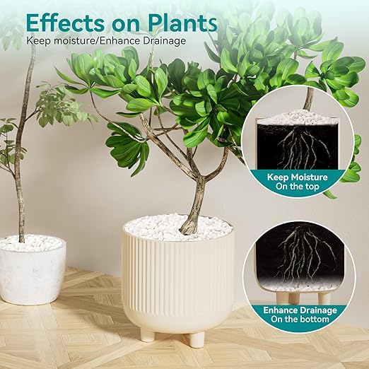 10 lbs Small White Rocks for Planters, 3/8" White Pebbles for Vases, Decorative Small Stones for Plants, Succulents, Bamboo, Terrarium, Landscape, Garden