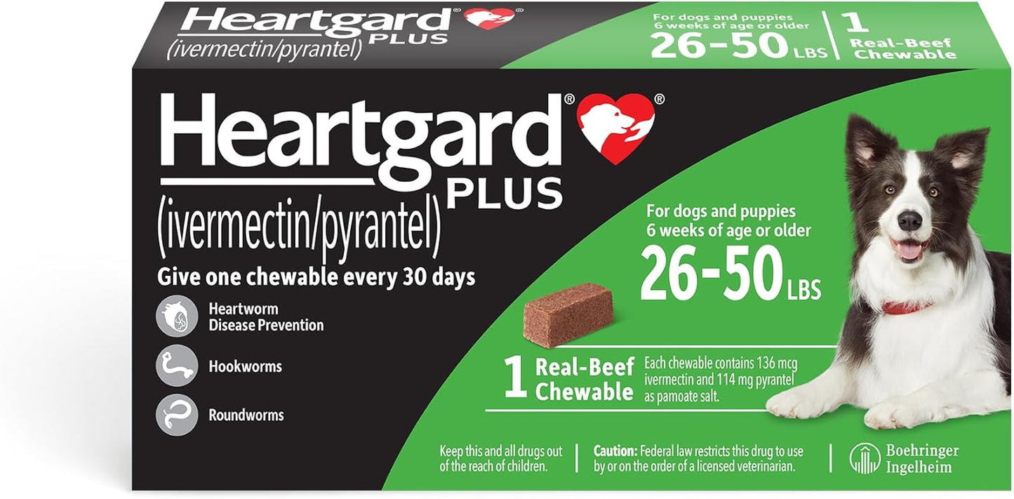 HEARTGARD® Plus (ivermectin/pyrantel) Real-Beef Chewables for Dogs 26-50 lbs (Green Box) 1 Month Supply of Chews (Heartworm Disease Preventive)