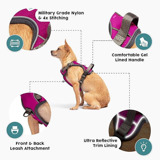 Embark Adventure Dog Harness, Reflective Trim No Pull Dog Harness for Large Dogs - Military Grade Nylon, Front Clip with Gel Lined Handle.
