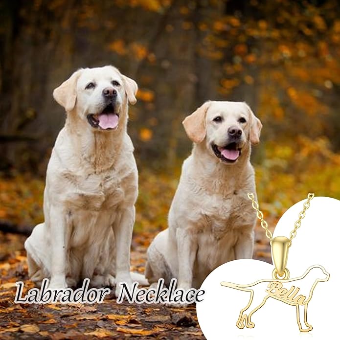 925 Sterling Sliver Yorkshire/Corgi/Labrador/Pug/Bulldog/Paw Print/Cross Necklace Cute Puppy Dog Necklace Jewelry Birthday Gifts for Women Girls Dog Lovers