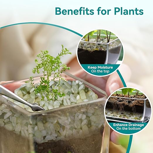 5 lbs Jade Pebbles for Indoor Plants, 1/5 Inch Succulent and Cactus Pebbles, Decorative Gravel for Vases, Bamboo,Terrarium, Crafts, Cactus