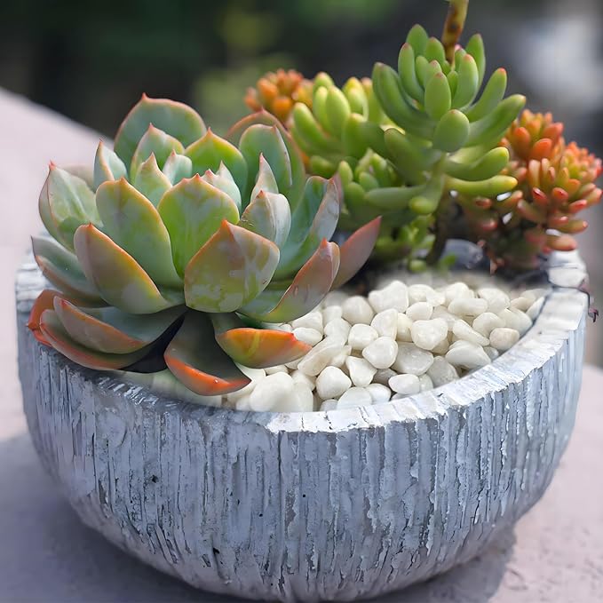 White Pebbles for Indoor Plants, 3/8 Inch Decorative White Stones. Polished River Rocks for Potted Plants Vase Cactus Bird Bath and Outdoor Garden Landscaping