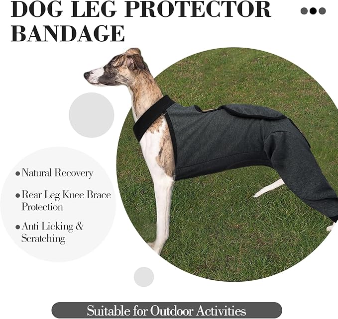 ROZKITCH Dog Surgery Leg Sleeve Rear Legs, Male Female Pet Prevent Licking Wound Elbow Knee Protector, Dog Recovery Suit Cone Collar Alternative Pants Shirt for Wound Heal Wrap Grey S