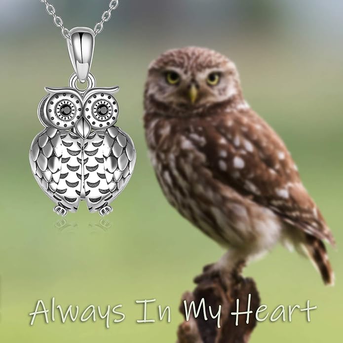 ONEFINITY Sterling Silver Always in My Heart Owl Urn Necklace for Ashes Owl Cremation Jewelry for Ashes of Loved Ones Keepsake Jewelry