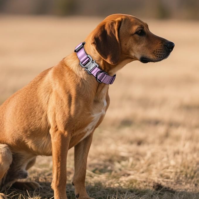 AirTag Dog Collar - Leather Dog Collar with Airtag Holder | IP68 Waterproof AirTag Holder with Metal Buckle, Comfortable GPS Dog Collars Tracker for Medium Large Dogs (Rose Gold, L)