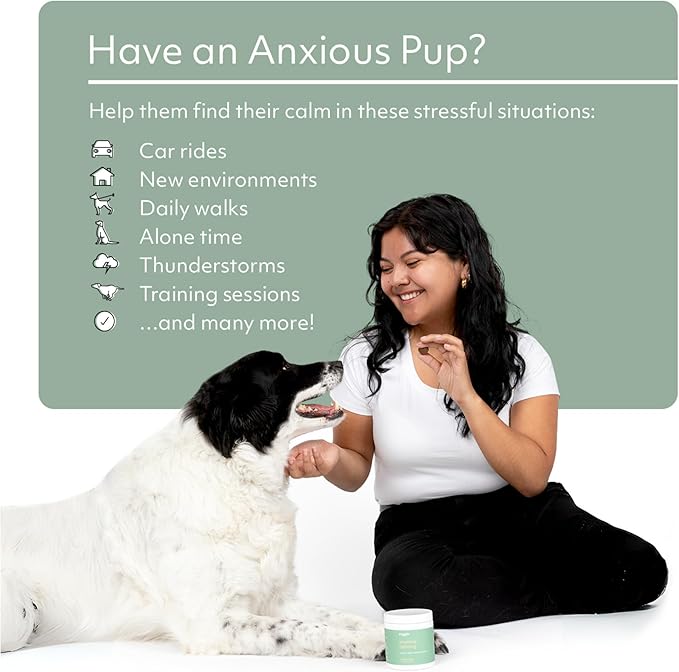 Reggie Anytime Calming Chews for Dogs | Natural Calming Dog Treats to Reduce Hyperactivity, Separation Anxiety, & Stress | Vet-Approved & Ideal for All Ages, Breeds, and Sizes - 60 Soft Chews