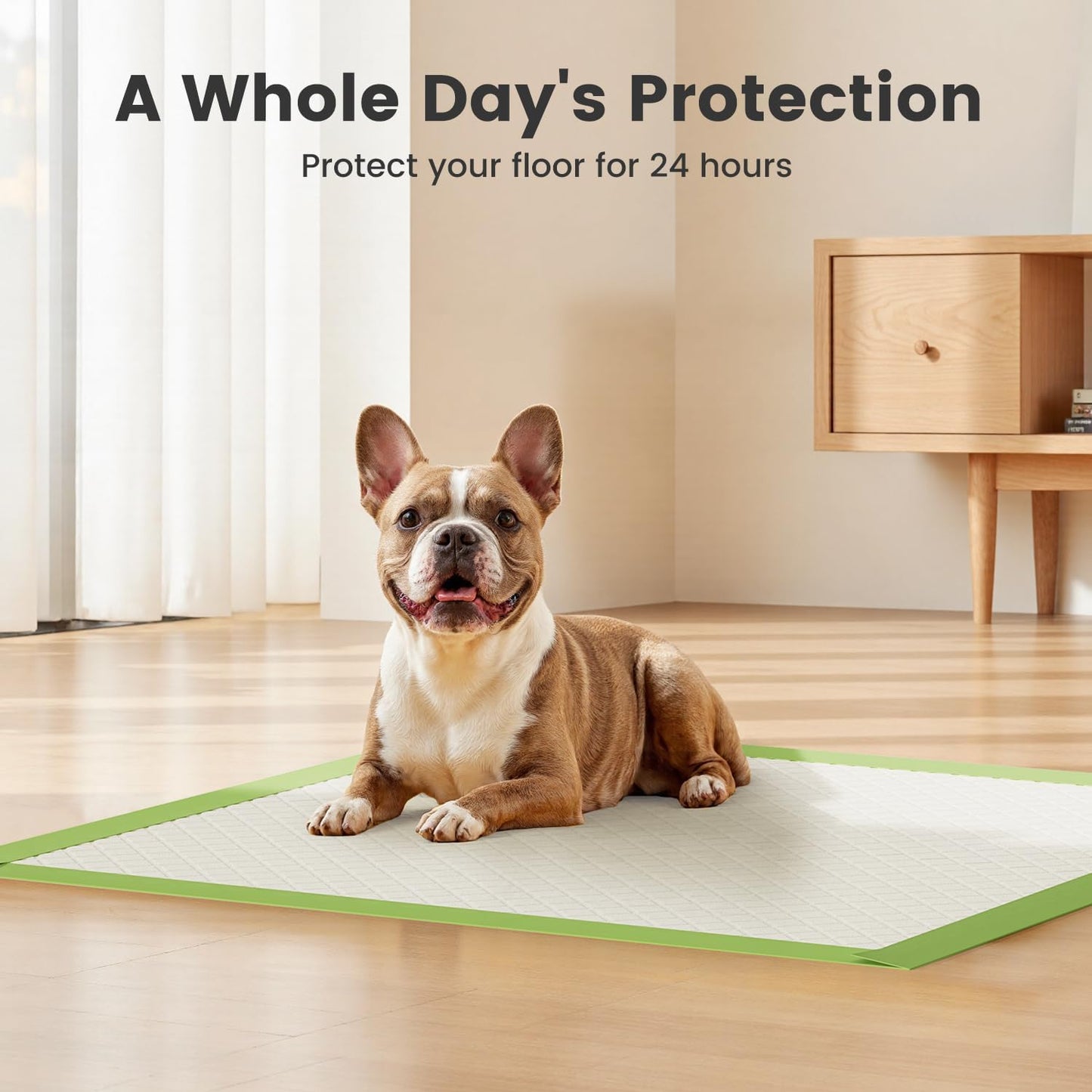 Gardner Pet Dog Pee Pads Rugular 22"x22", Thicker ECO Green Small Disposable Puppy Training Pads Super Absorbent Full Edge-Wrapping Pad for Dogs, Puppies, Doggies, Cats-(20 Count)