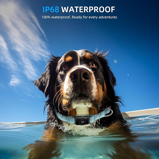 Upgraded AirTag Dog Collar, IP68 Waterproof Air Tag Dog Collar Holder, Reflective, Ultra-Durable, Comfortable Padded, Heavy Duty Dog Collars for Small Medium Large Dogs (M (12.6"-17.1"), LightBlue)