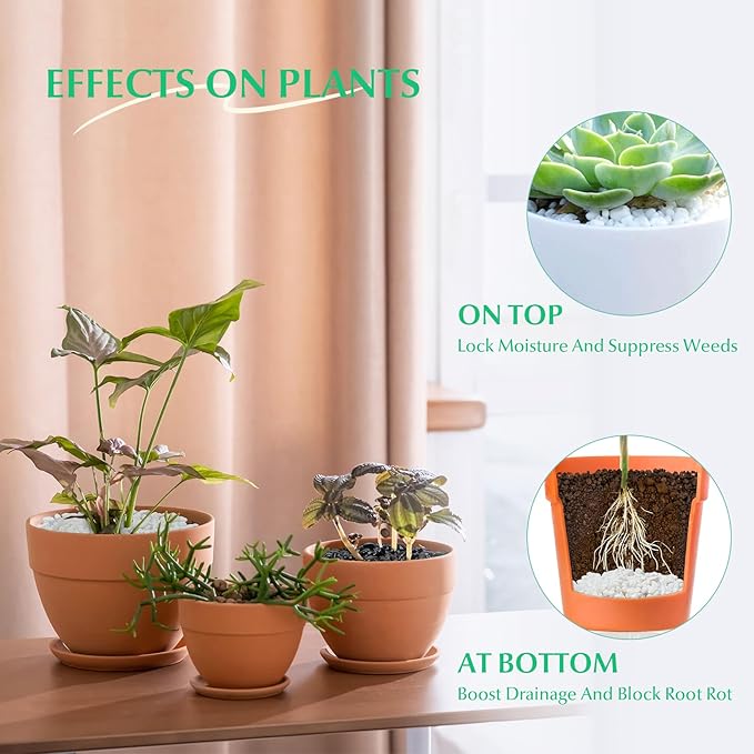 Mr. Fireglass 2lbs White Pebbles,1/5" Natural Decorative River Rocks Aquarium Gravel for Indoor Plants, Vases, Succulents and Outdoor Garden Landscaping