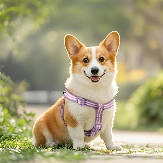 Stripe Step in Dog Harness for Small Dogs, Freedom Nylon Dog Halter Vests, Lightweight and Escape Proof Puppy Harness, Quick Fits for Small Medium and Large Dogs, Purple XS