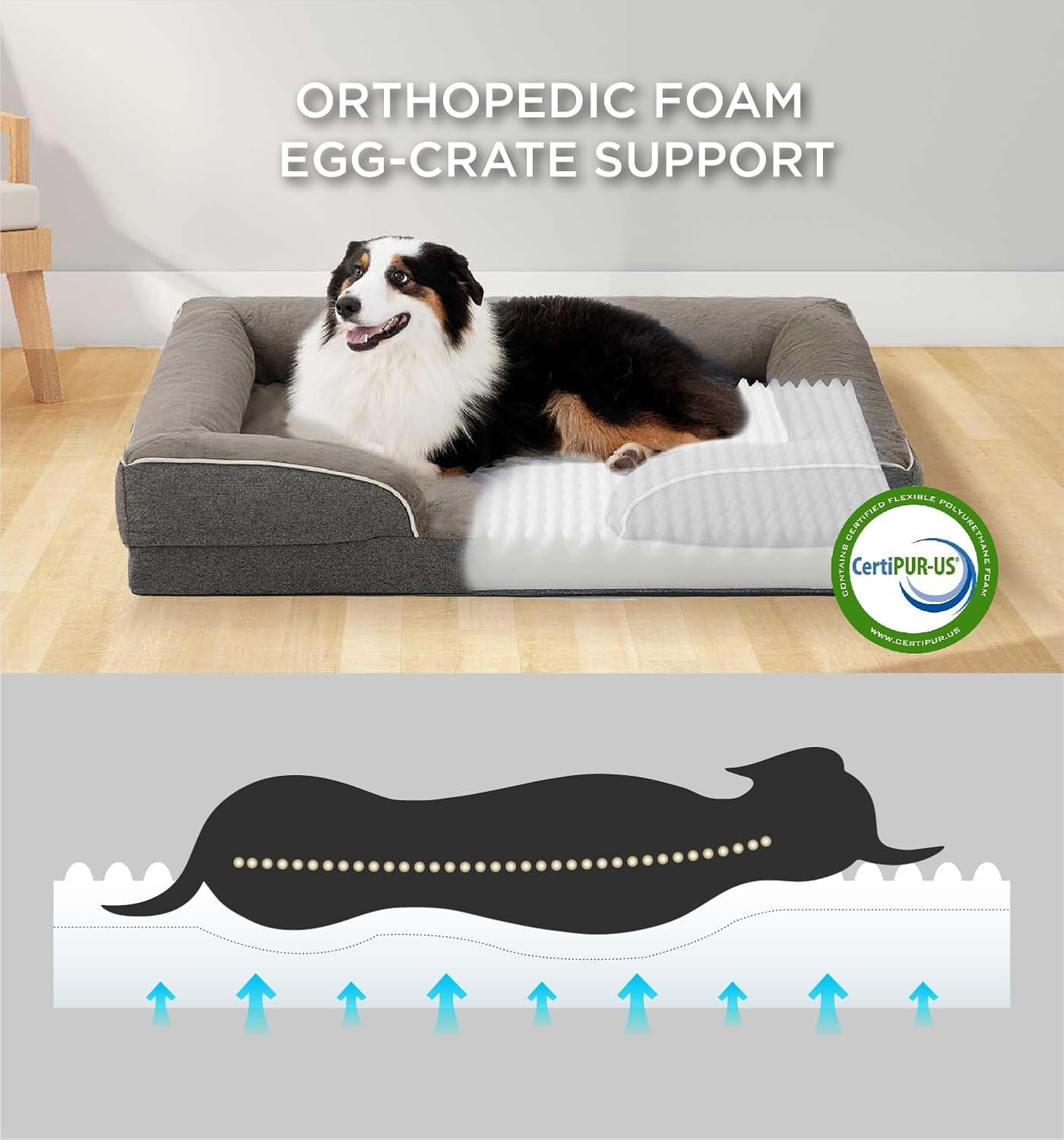 Made4Pets Orthopedic Dog Bed for Large Dogs, Supportive Foam Big Large Pet Bed Sofa with Washable Removable Cover, Waterproof Dog Couch Bed, Non-Slip Bottom and Egg-Crate Foam, Brown