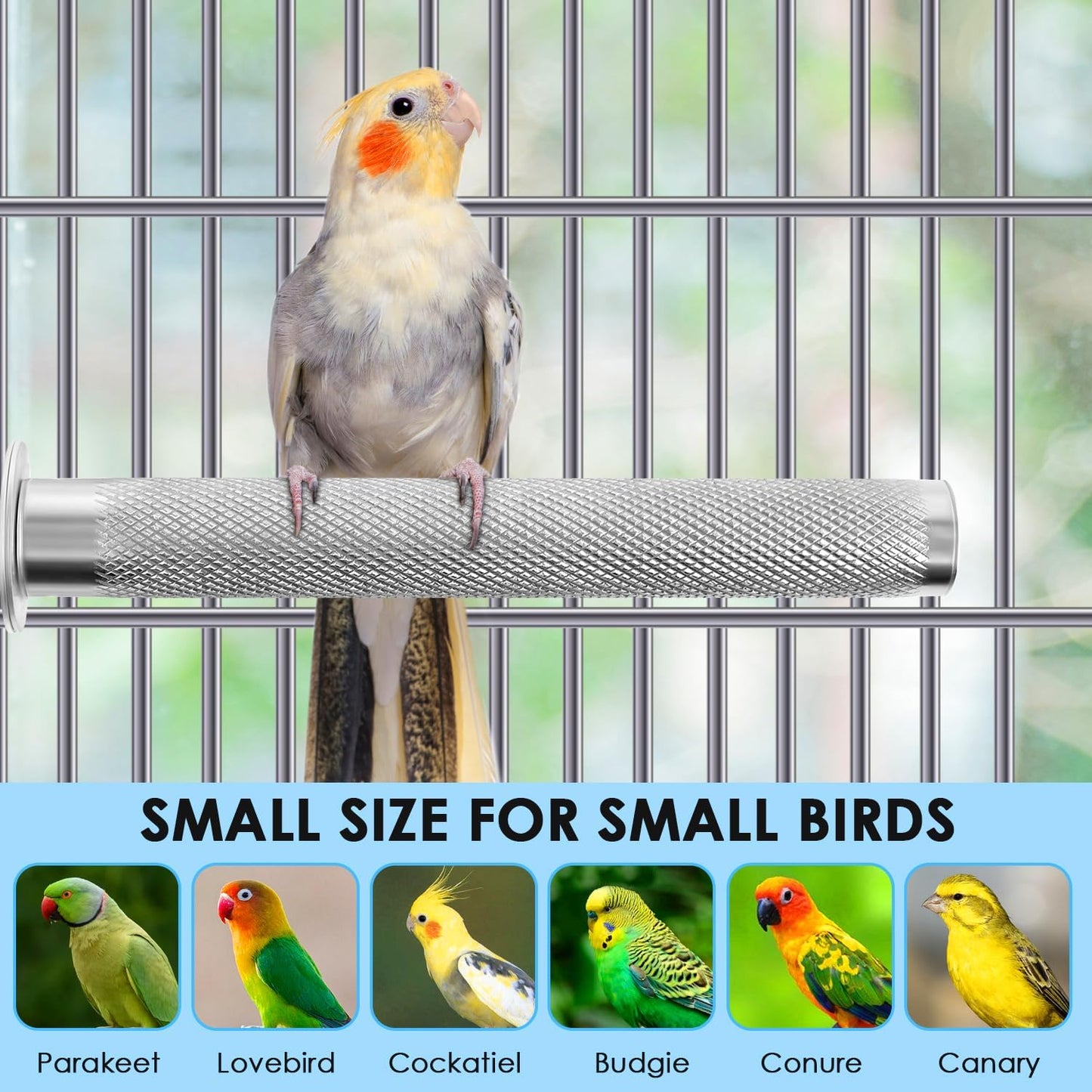 KATUMO Conure Perch - Stainless Steel Bird Stand Rough-surfaced Branch for Small Birds (6 x 0.7 inch)