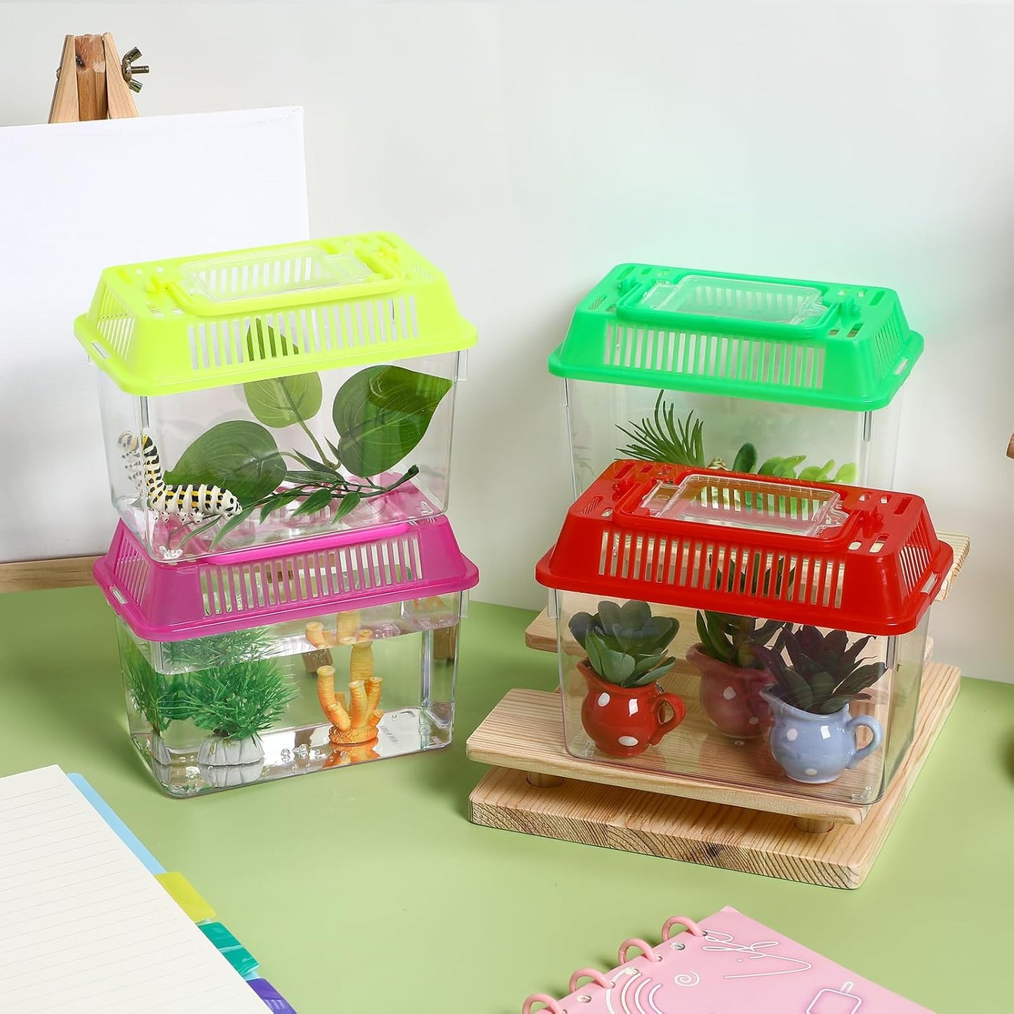 NOLITOY 4pcs Mini Fish Tank, Plastic Fish Box Breeding Case with Handle Desktop Reptile Carrier Portable Aquarium for Shrimp Turtle Shrimp Goldfish (Random Color)