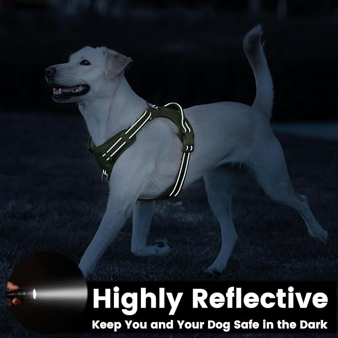 No Pull Dog Harness, Reflective Puppy Vest for Small Medium Large Sized Dog (Misty Green,M)