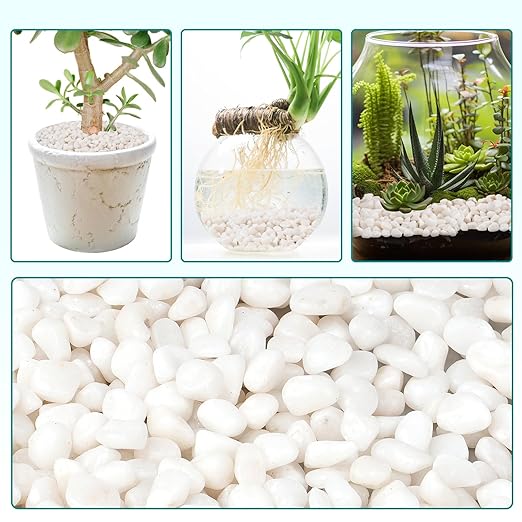 10 lbs Small White Rocks for Planters, 3/8" White Pebbles for Vases, Decorative Small Stones for Plants, Succulents, Bamboo, Terrarium, Landscape, Garden