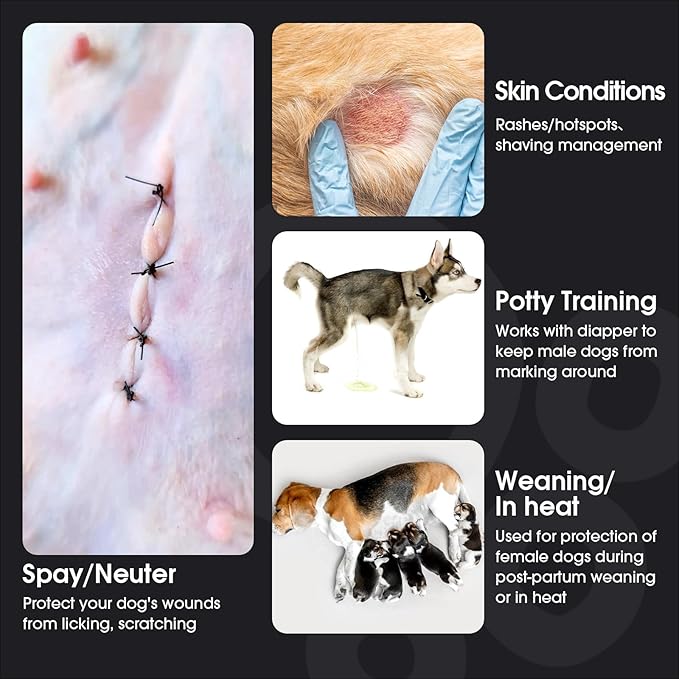 FUAMEY Dog Recovery Suit Male,Dogs Surgery Neuter Suits Puppy Spay Shirts for Female Protect Dog's Skin Anti Licking Abdominal Wounds Doggie Onesie Pet Bodysuit Alternative to Cone Black M