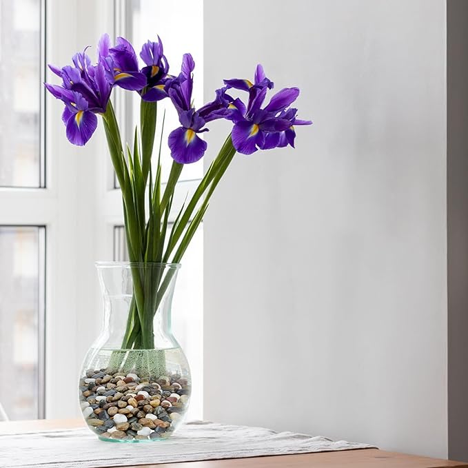 Mr. Fireglass Polished Pebbles, 3/8" Natural Decorative Mixed Color Stones Aquarium Gravel River Rocks for Potted Plants, Landscaping and Home Decor (10-lb Bag)