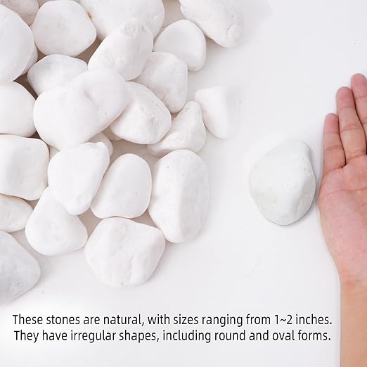 8LB 1"-2" White River Rocks for Plants, Polished Pebbles for Garden Landscaping, Planters, Aquariums, Vase Fillers – Indoor & Outdoor Decor