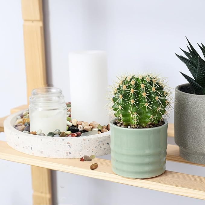 2 Pounds Pebbles for Plants, 3/8 Inch Succulent Rocks, Decorative Polished River Rocks for Plants Indoor, Vases, Cactus Planters, Bird Bath, Craft and Fairy Garden