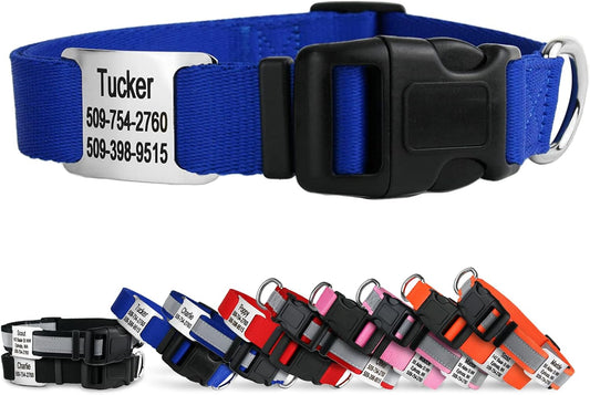 GoTags Personalized Dog Collar with Nameplate, Adjustable Dog Collar with Custom Engraved Slide On Pet ID Tag in Stainless Steel, Silent, No Noise Dog Tag for Large Medium and Small (Blue, Small)