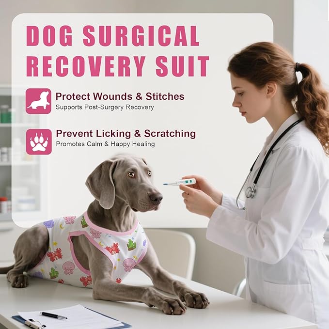 Recovery Suit for Dogs After Surgery, Professional Dog Surgical Suit for Female Spay, Male Neuter, E-Collar & Cone Alternative Dog Onesie for Abdominal Wounds Skin Disease, Jellyfish, XS