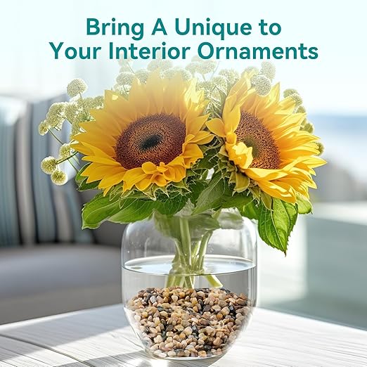 2.5 lbs Small Rocks for Plants, 1/5 Inch Gravel for Plants Drainage, Decorative Potting Pebbles for Indoor Plants, Vases, Bamboo, Succulent, Terrarium, Crafts, Cactus