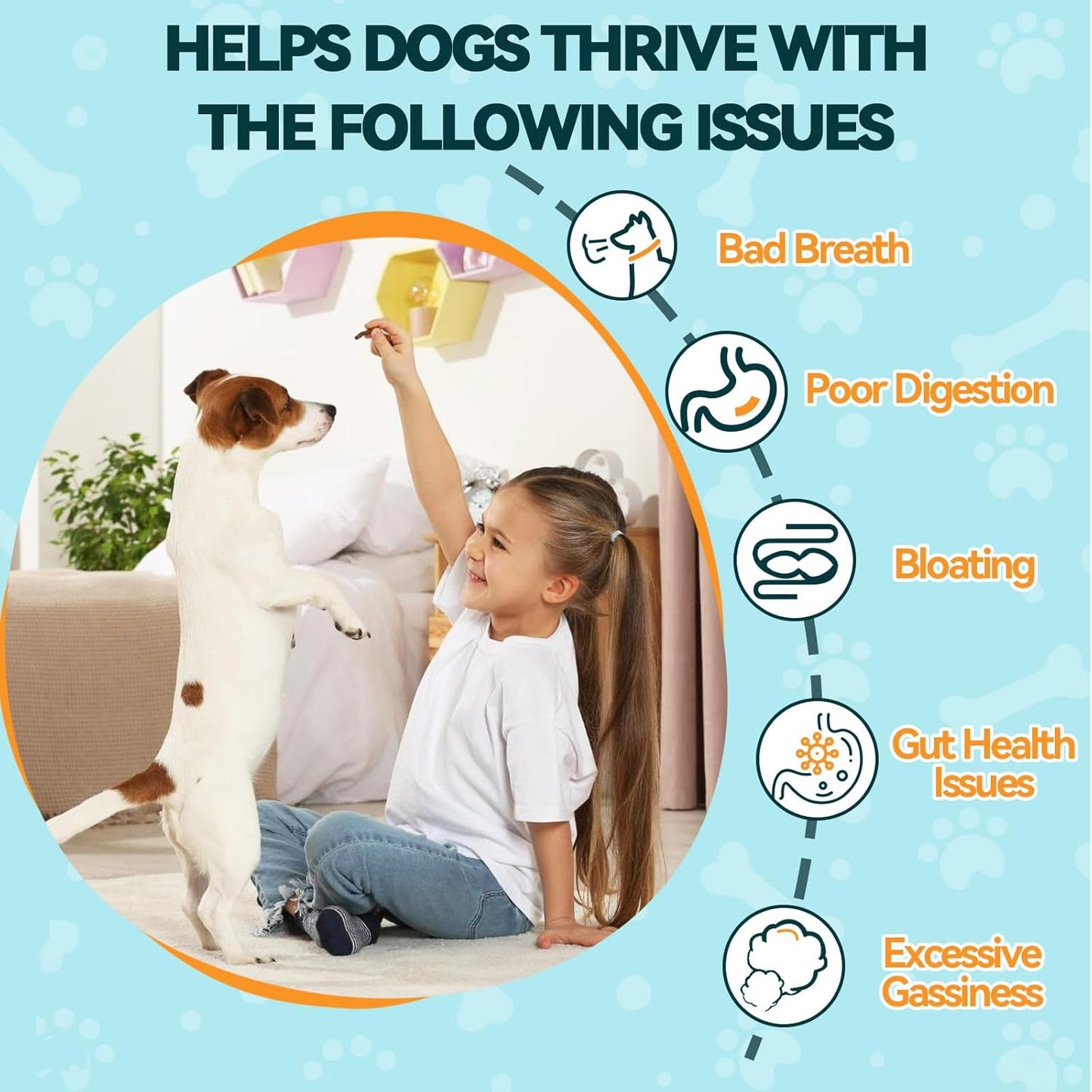 Probiotics for Dogs, 200 Soft Chews Digestive Probiotics & Enzymes for Gut Health with Pumpkin, Fibre for Dogs Anti Diarrhea, Upset Stomach, Gas Relief, Itchy Skin & Immune Support (Chicken)