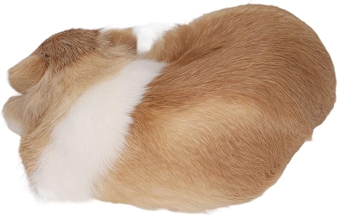 Realistic Furry Sleeping Cat Figurine - Little Kitten Figure - Lifelike Animal Plush Simulation - Simulation Kitten Plush for Home and Office Decor